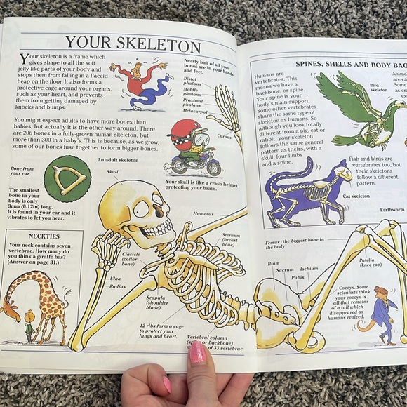 Kids book paperback science book understanding your muscles and bones - Picture 12 of 14